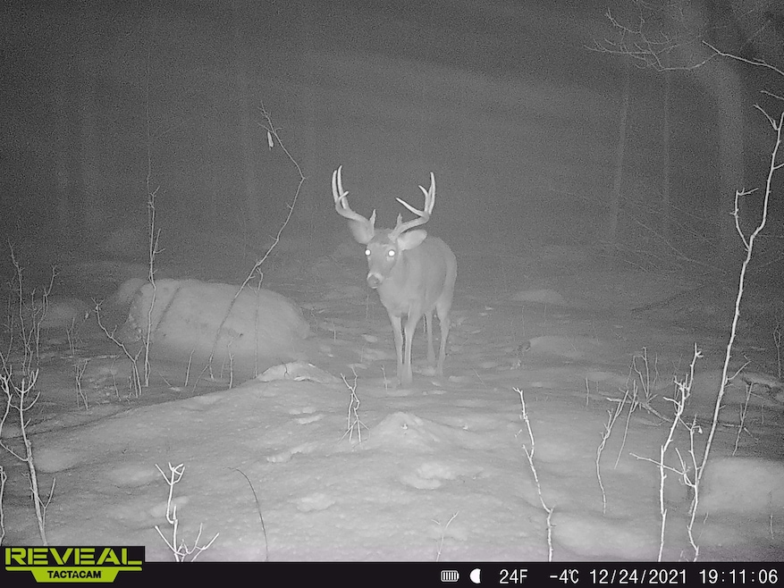 0 Beetle Creek Rd unit 22202013, Tigerton, WI 54486 - photo 1