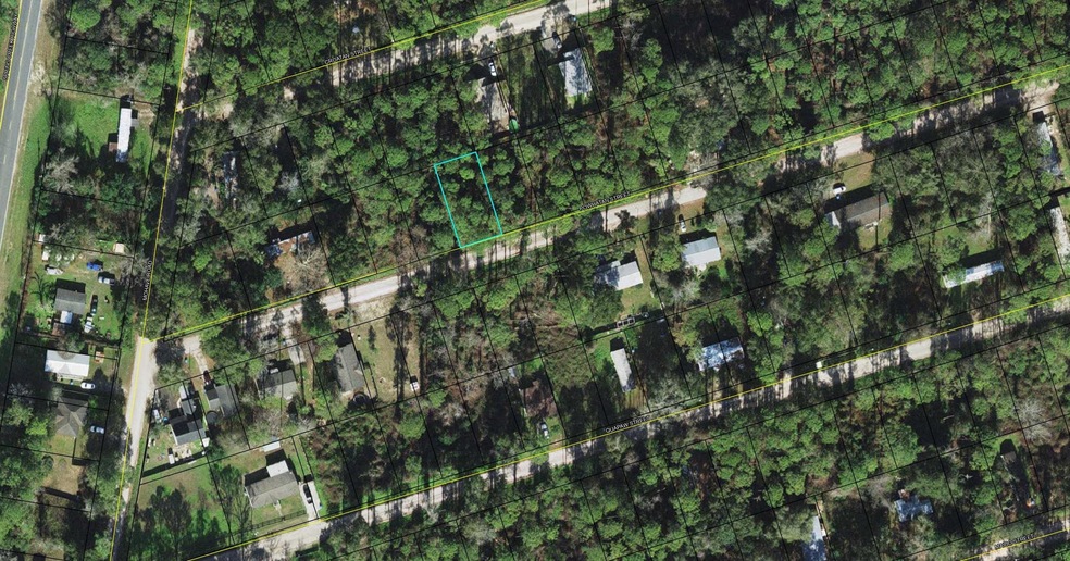 xxx Powhatan St, Crawfordville, FL 32327 - photo 1