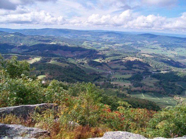 Main View