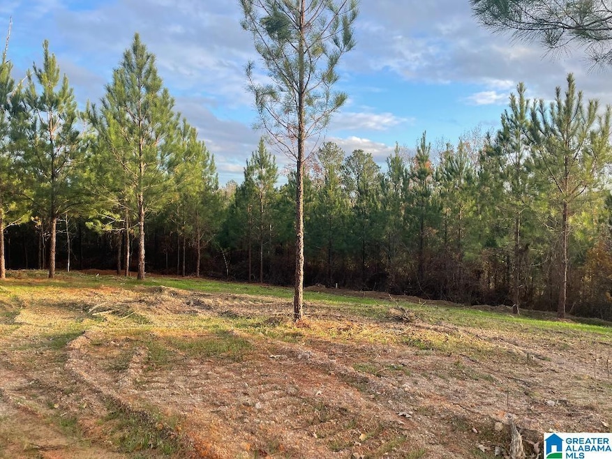 220 Saddlewood Trails Pkwy unit 1, Columbiana, AL 35051 - photo 1