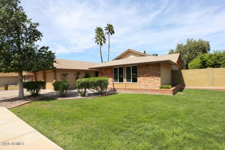 Dobson Ranch Beauty