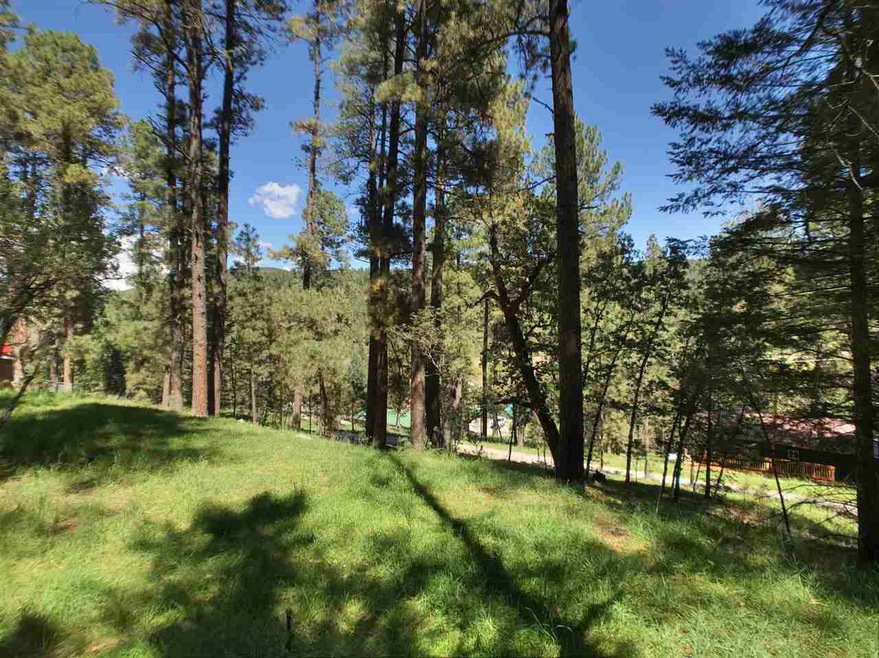 12 Long Dr unit 6W1/2, Mayhill, NM 88339 - photo 1