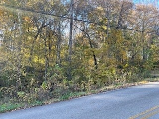 6 Lakeshore Dr, McMinnville, TN 37110 - photo 1