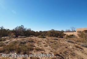 6419 Tear Drop Ct, Farmington, NM 87402 - photo 1