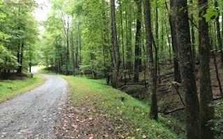 Main View