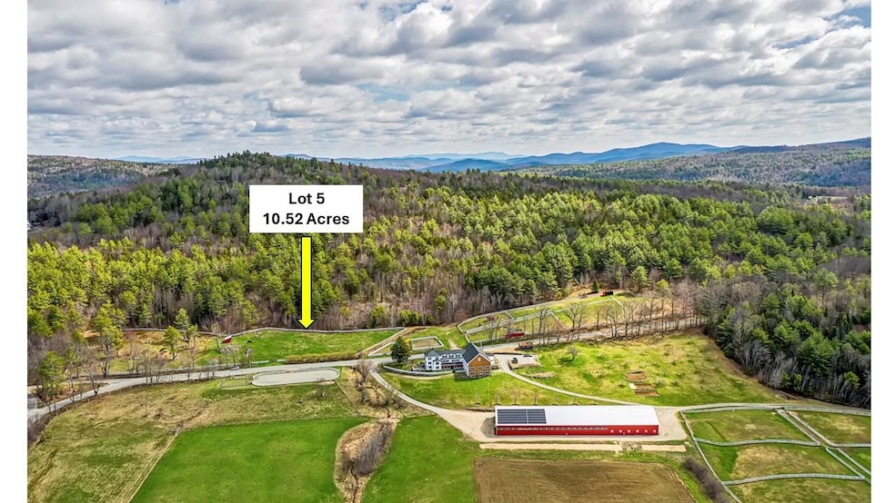 410-090-005 Eastern District Rd, Danbury, NH 03230 - photo 1