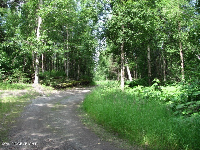 eastern portion