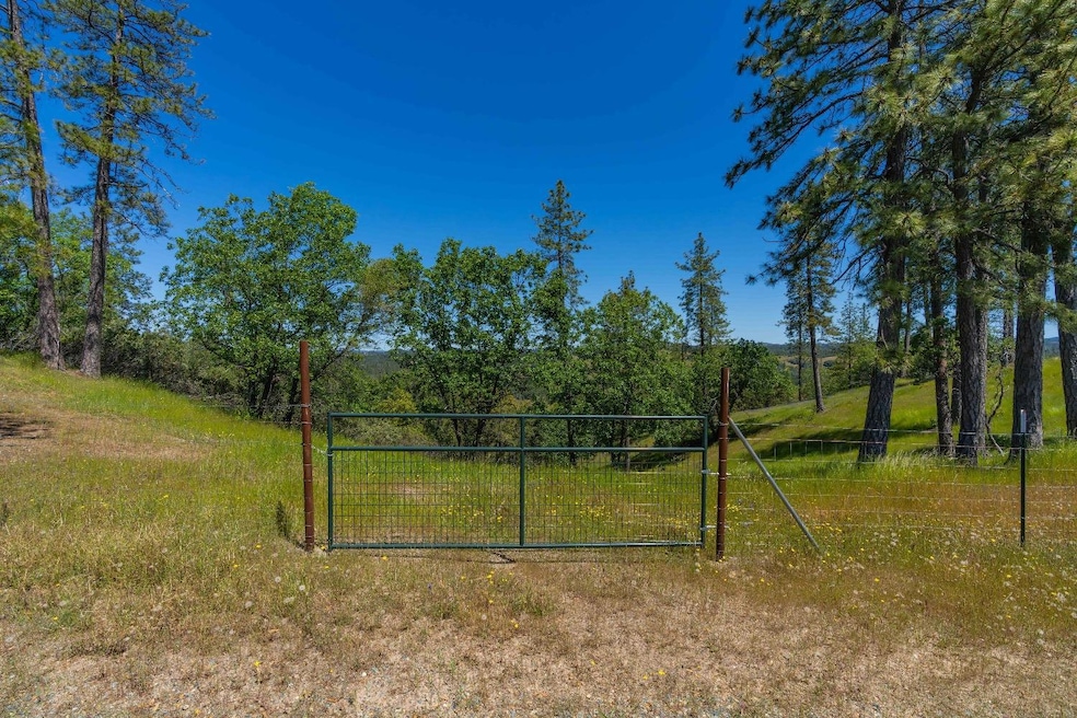 12377 Twin Pines Rd, Sutter Creek, CA 95685 - photo 1
