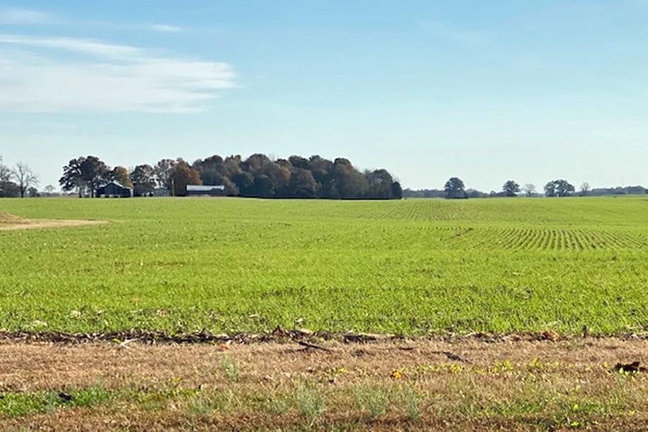 Witt Road- Lot 10