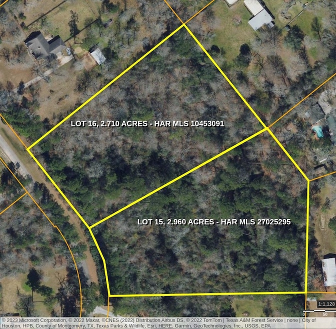 303 Tall Pines Dr, Tall Pines, TX 77354 - photo 1