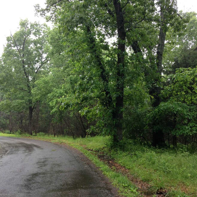 Mackenzie Lot 007