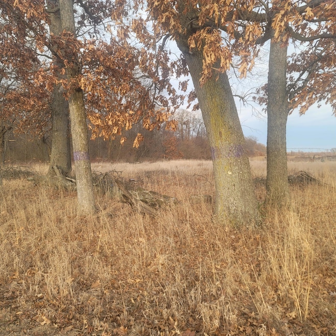 View from Road