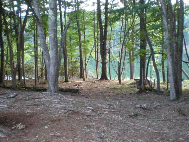 Main View