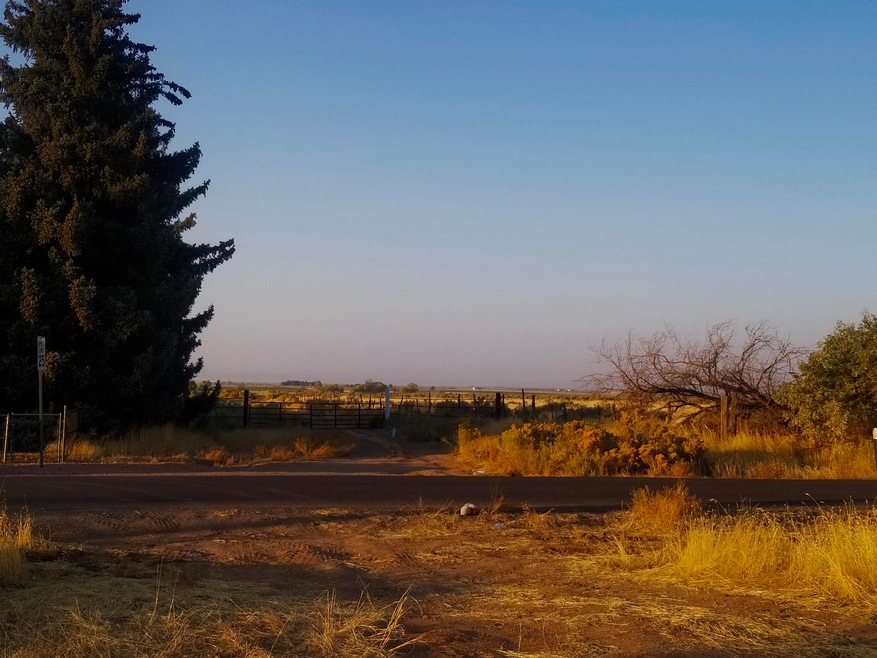View from Lot