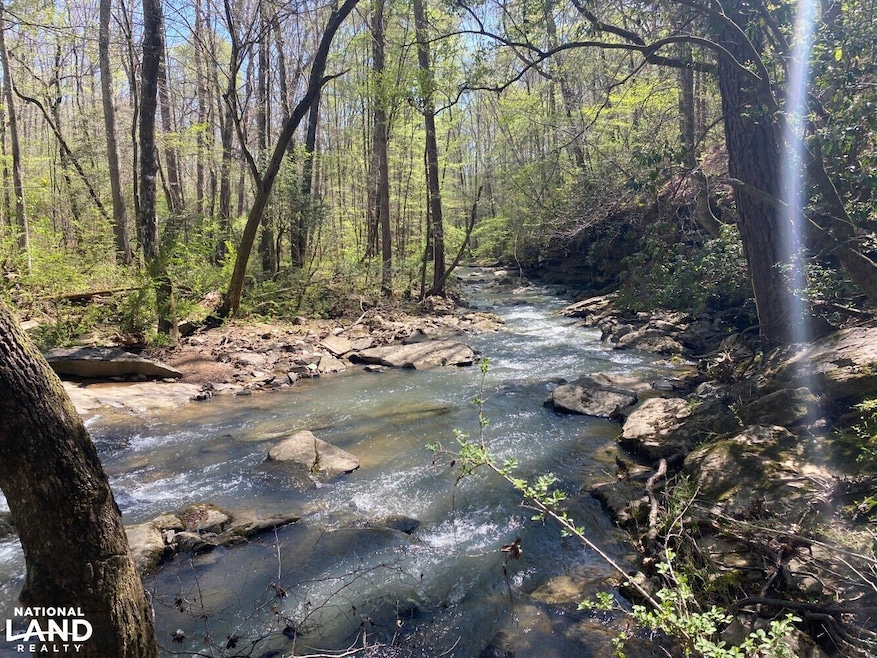 391 Co Rd 1171, Cullman, AL 35057 - photo 1