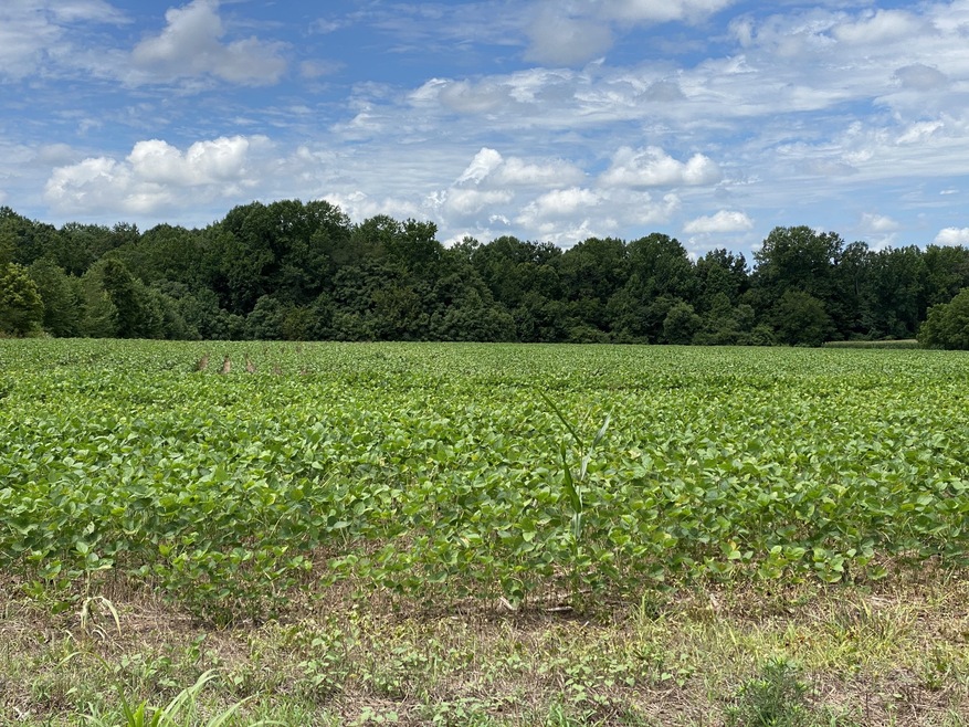 0 Woodbury Hwy unit 2173038, Manchester, TN 37355 - photo 1