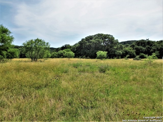 TRACT 13 County Road 251, Hondo, TX 78861 - photo 1