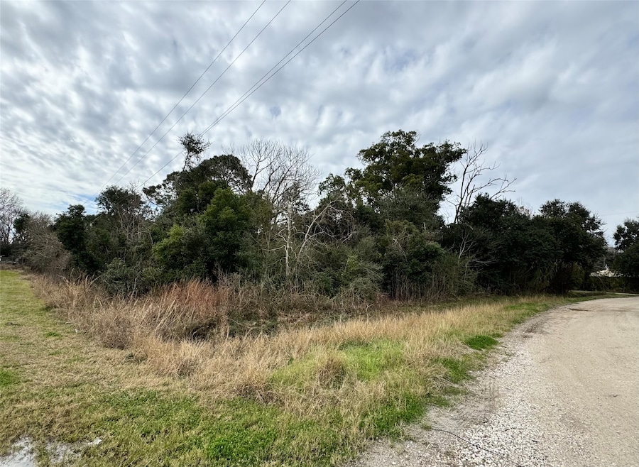 This photo shows the subject property with dense greenery and trees, bordered by a gravel road.