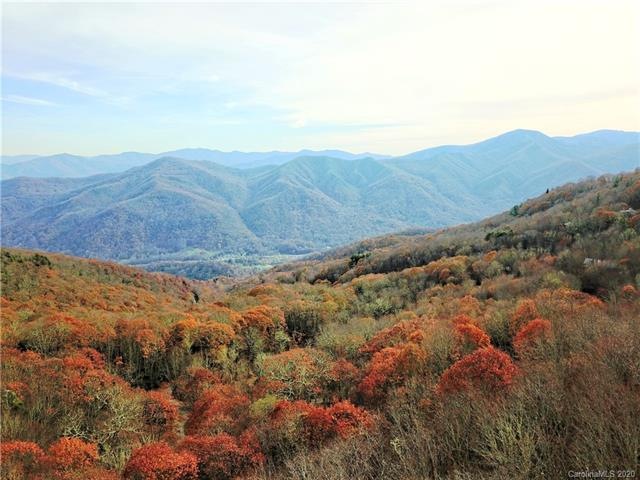Drone photo with estimated view in front of trees at street level