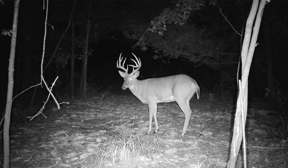 1071 Cox Rd, Dawson, GA 39842 - photo 1