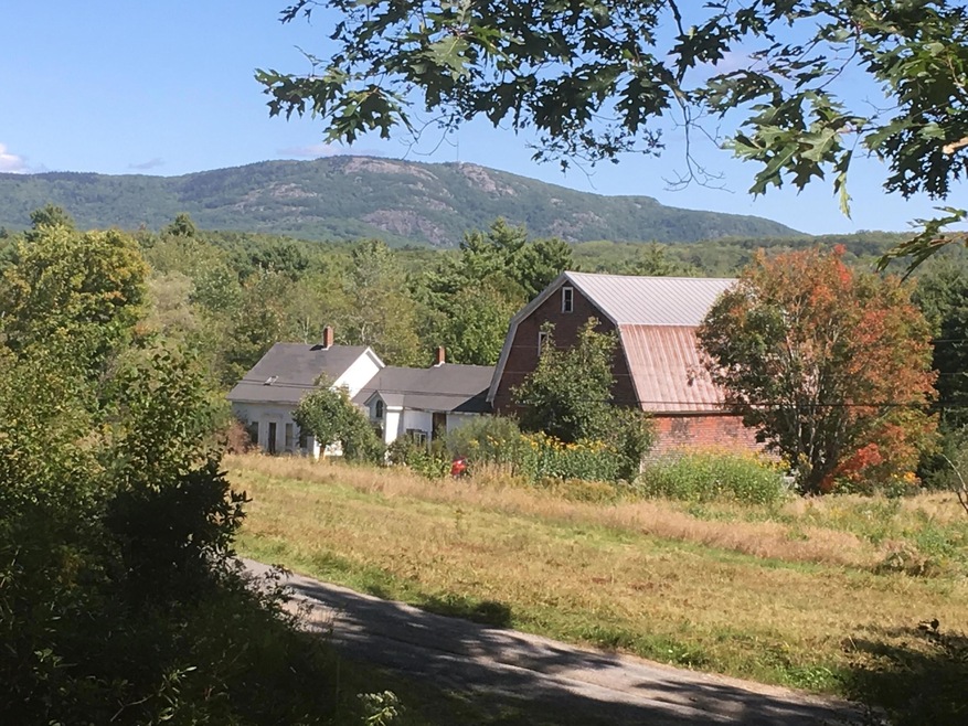 Elizabeth Dickerson Real Estate Agent in Rockland, ME