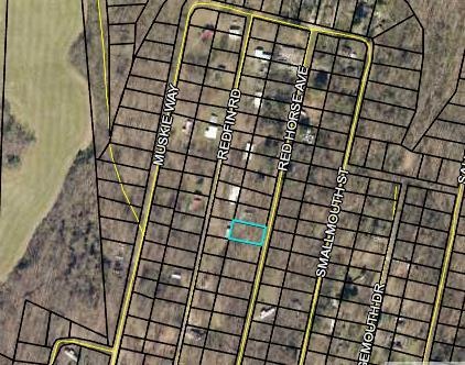 664 Red Horse Ave, Scottsville, KY 42164 - photo 1