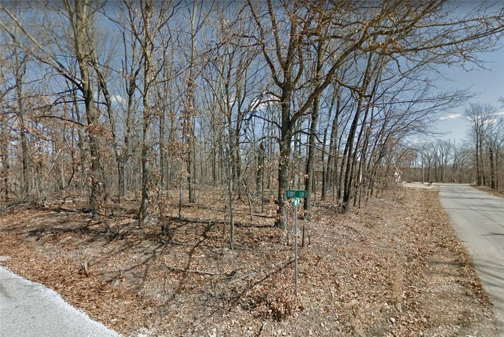 0 Eddy Lane & Todd Dr unit 1062695, Bella Vista, AR 72715 - photo 1