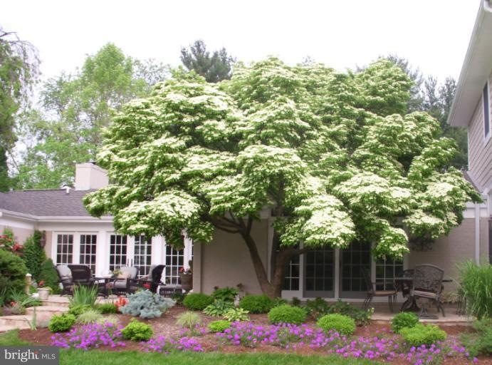 1006 Brooklandwood Rd, Lutherville Timonium, MD 21093 - photo 1