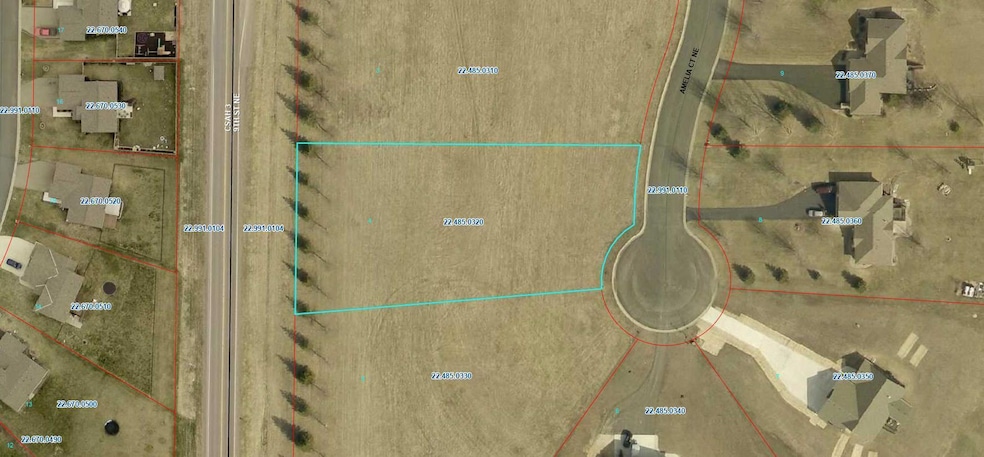 907 Amelia Ct NE, Montgomery, MN 56069 - photo 1