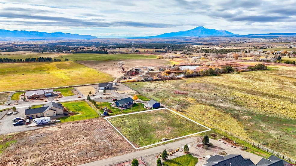 24764 Road S 85, Dolores, CO 81323 - photo 1