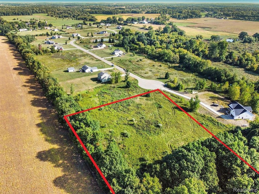 Approximate back outline aerial