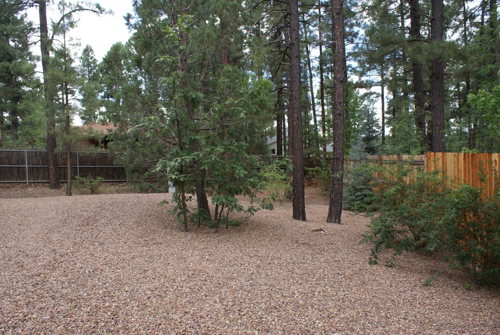 DSC07920