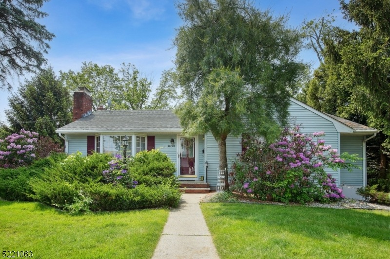 803 Plainfield Ave, Raritan, NJ 08869 - photo 1