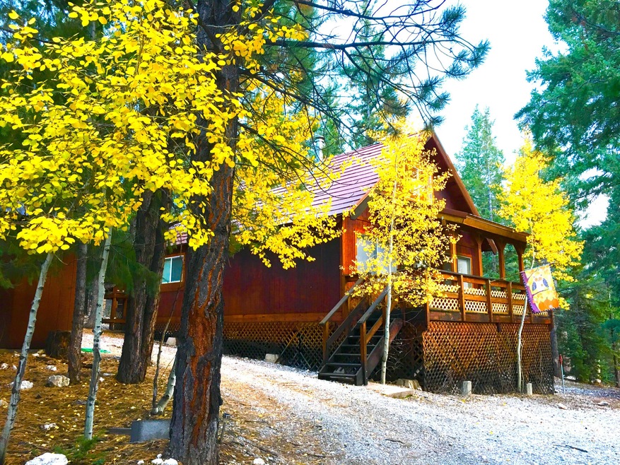 Cabin in the woods
