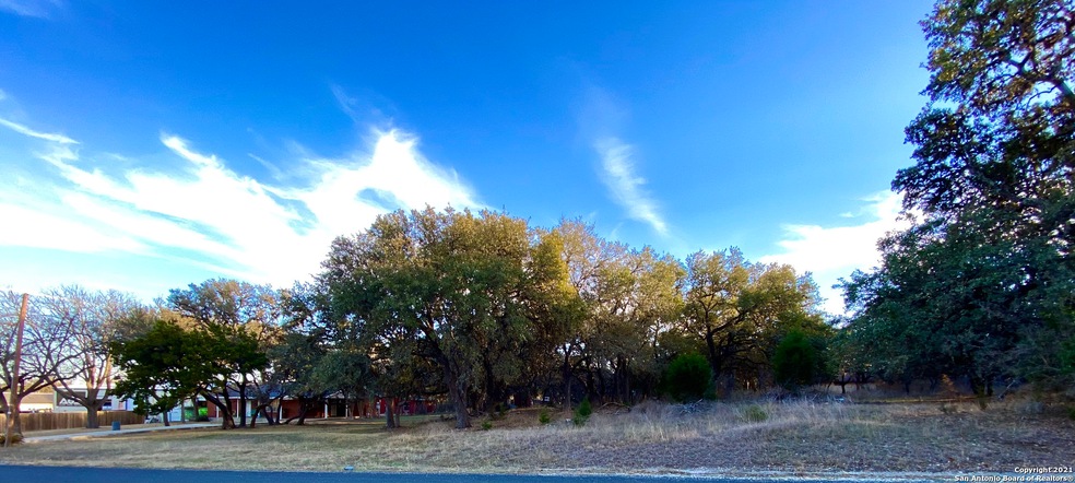 8449 Indian Hills Ln, Boerne, TX 78006 - photo 1