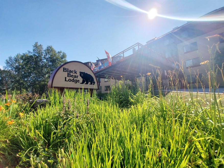 23 Black Bear Rd unit 212, Waterville Valley, NH 03215 - photo 1