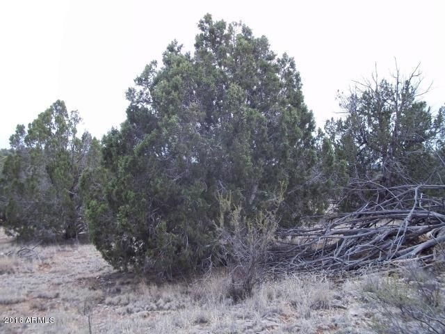 Lot 1361
