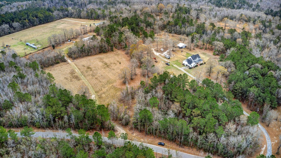 0 Alligator Ln, Andrews SC (5)