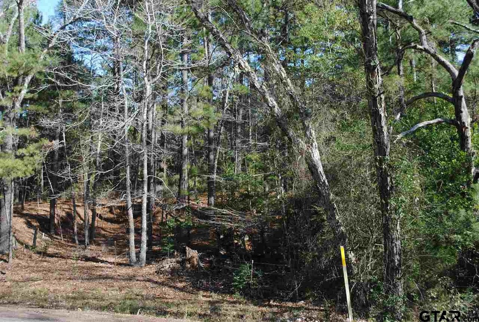 TBD Tract 3 Tbd Tract 3 County Road 427, Tyler, TX 75701 - photo 1