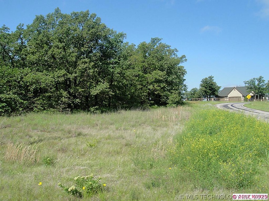 0 Wilson Dr, Skiatook, OK 74070 - photo 1
