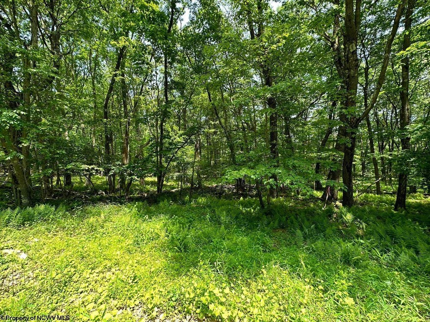 lot 94 E Alpine Dr, Terra Alta, WV 26764 MLS 10147737