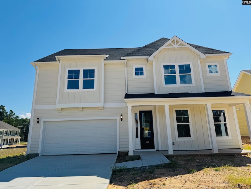 387 Rising Stream Way, Chapin, SC 29036 - photo 1