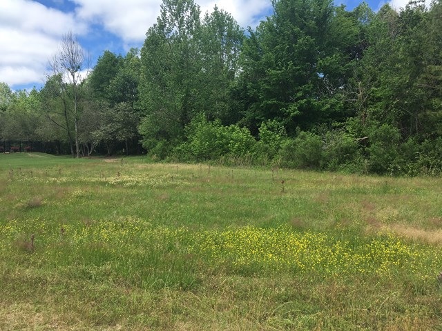 104 Lakes Dr S, Oxford, MS 38655 - photo 1