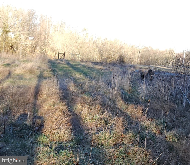 Lot 2 Route 51 - Middleway Pike, Bunker Hill, WV 25413 - photo 1