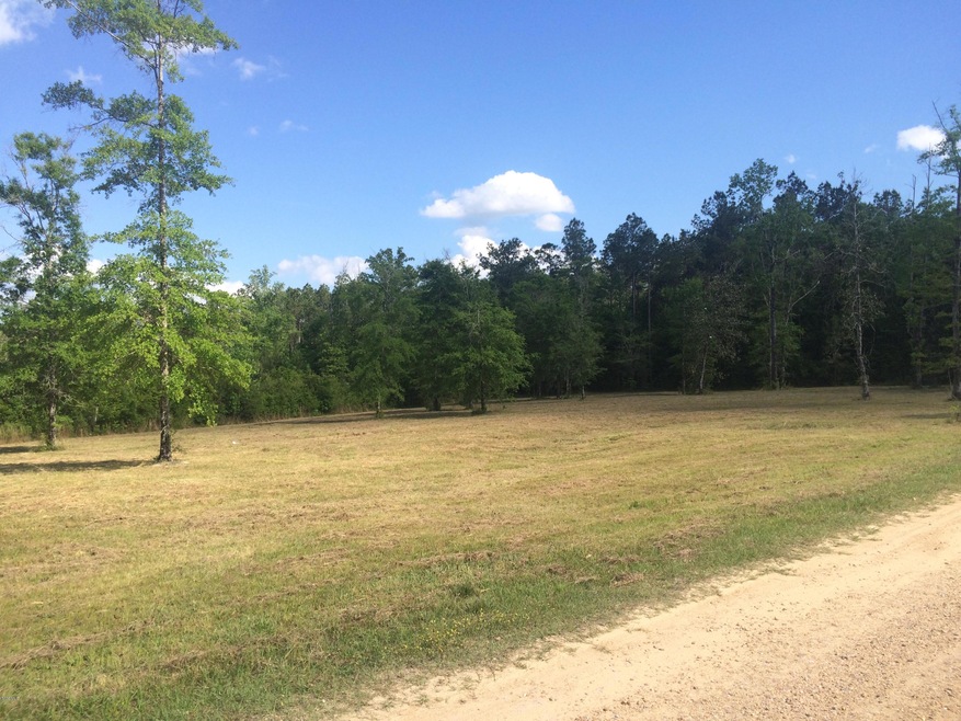 9.3 Acres R Moran Rd, McHenry, MS 39561 - photo 1
