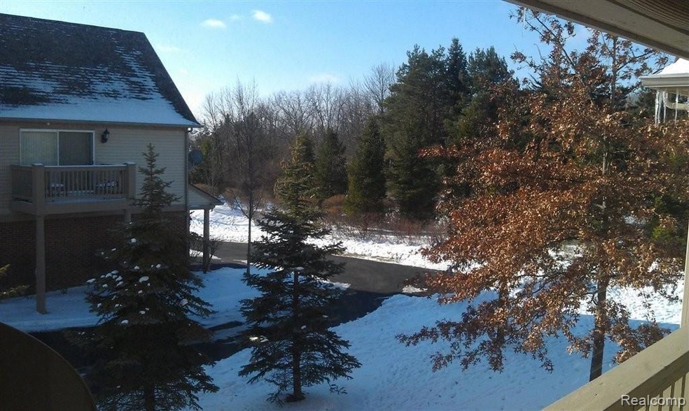 VIEW FROM KITCHEN.jpg