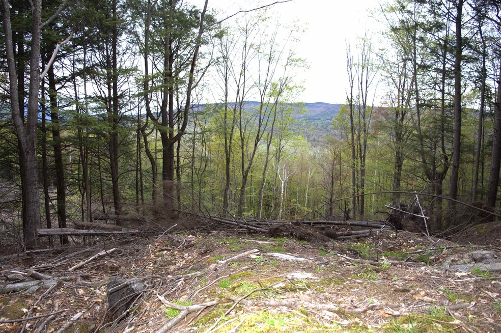 0 Mosquito Schoolhouse Rd unit 4951885, Newport, NH 03773 - photo 1