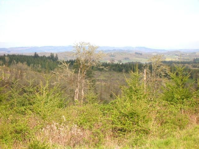 18376 Oregon 22 unit 3, Sheridan, OR 97378 - photo 1