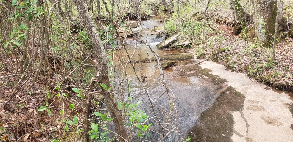 0 Rocky Branch Rd unit 20029930, Barnesville, GA 30204 - photo 1