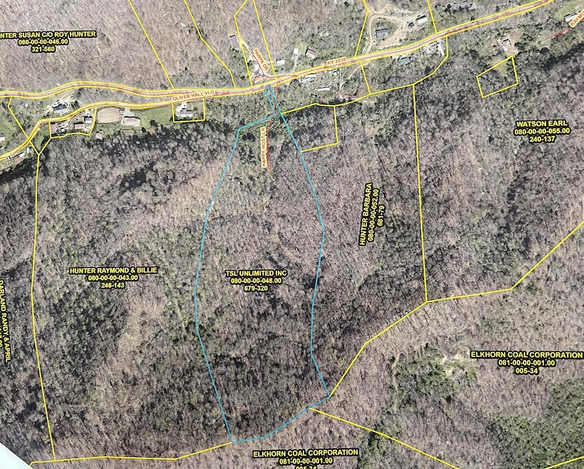 99999 Ky 2030, Martin, KY 41649 - photo 1